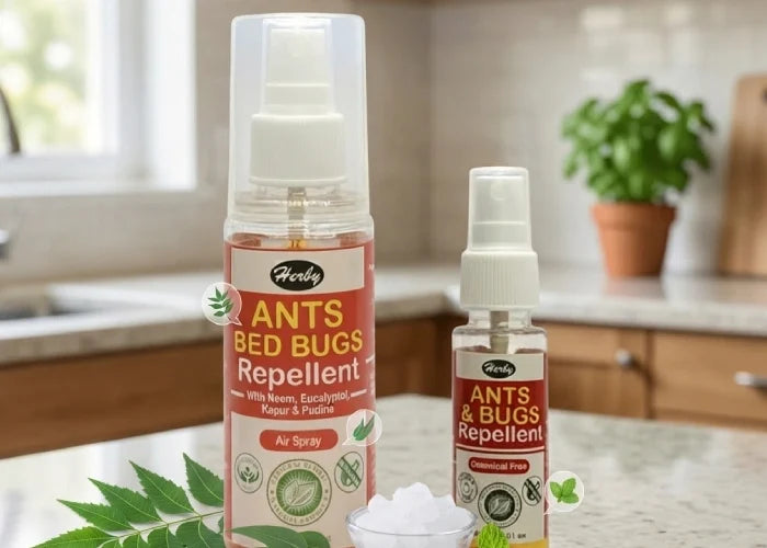 Best Natural Ant Repellent for Home and Kitchen