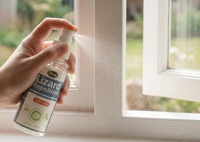 Natural lizard repellent spray being applied near a window to remove lizards from home without killing them