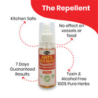 Herby Ants and Bugs Repellent feature graphic highlighting kitchen-safe use, long duration and natural herbal formula.