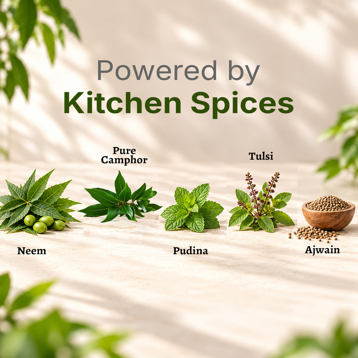 Botanical ingredients featured in Herby cockroach repellent