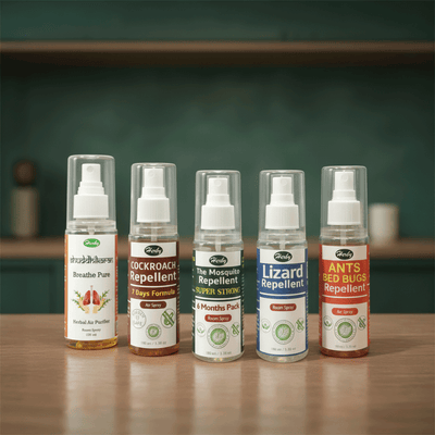 Jumbo Home Care Kit