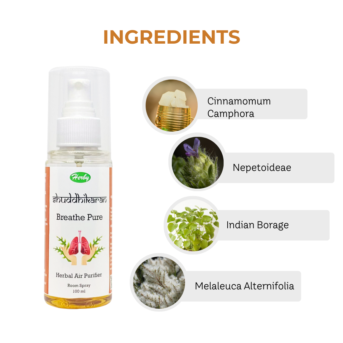Herby Shuddhikaran bottle shown with camphor, nepetoideae, Indian borage, and tea tree ingredients labeled clearly.